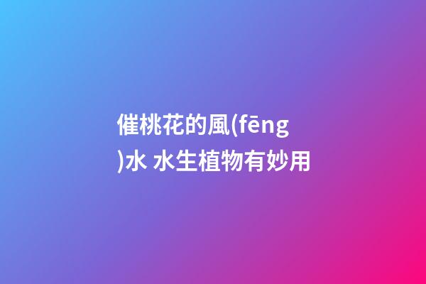 催桃花的風(fēng)水 水生植物有妙用